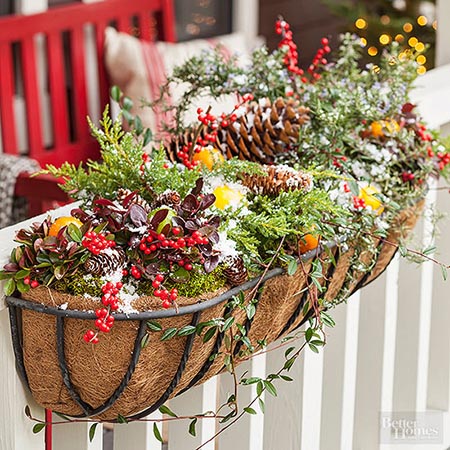 festive planter