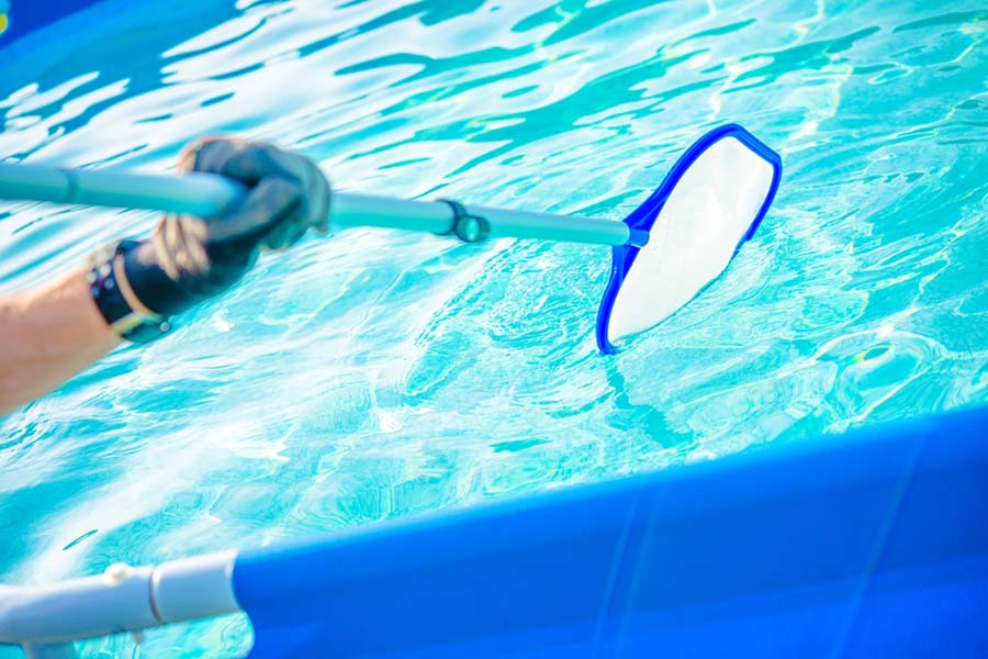 Person cleaning on-ground pool with a skimmer