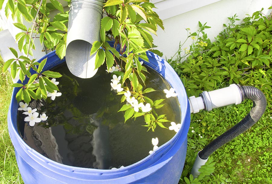 Rain spout to a barrel for water conservation