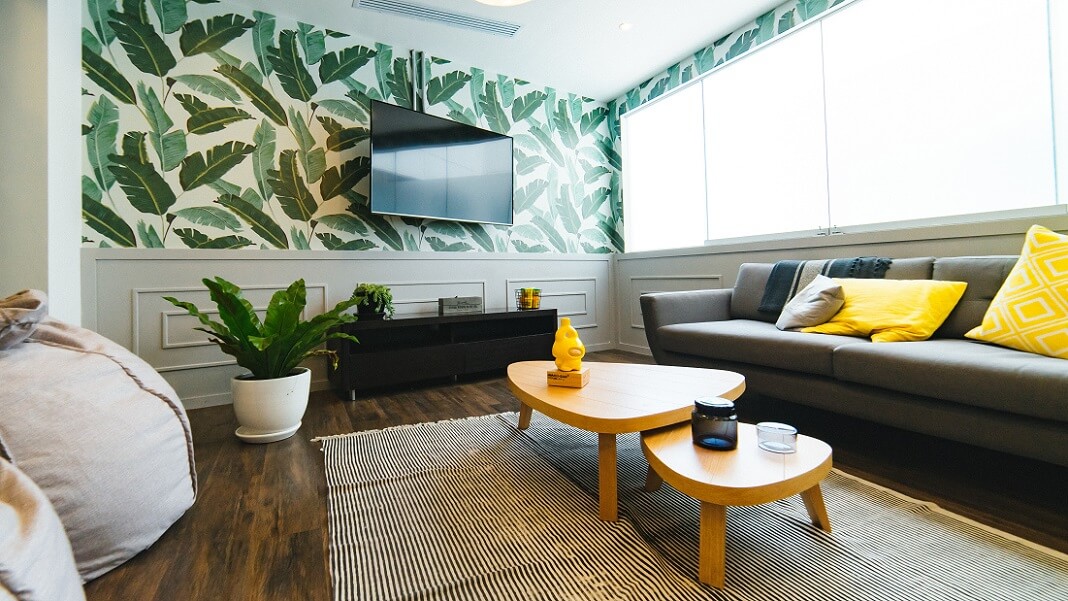 Modern living room with wallpaper and plants