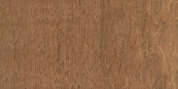 What Brazilian Cherry wood flooring looks like