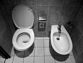 Un bidet et une cuvette de toilette normale