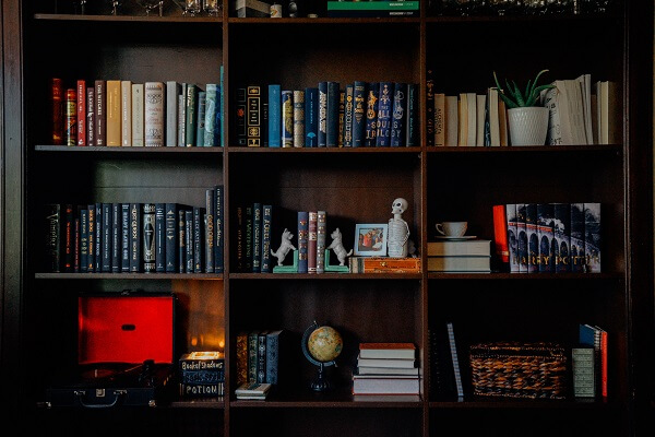 Dark and hardwood bookshelf ideas