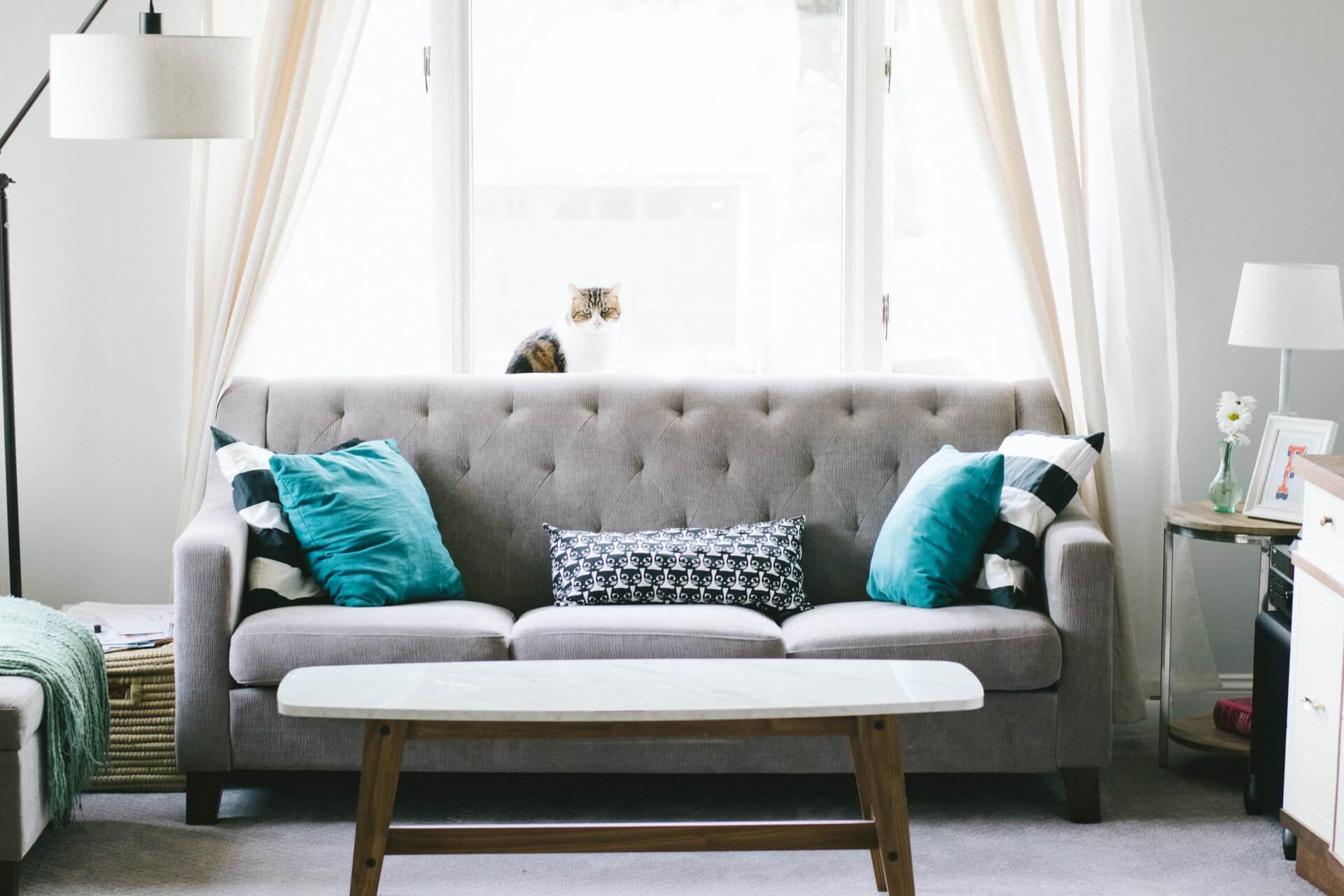 Teal pillows arranged on a grey sofa