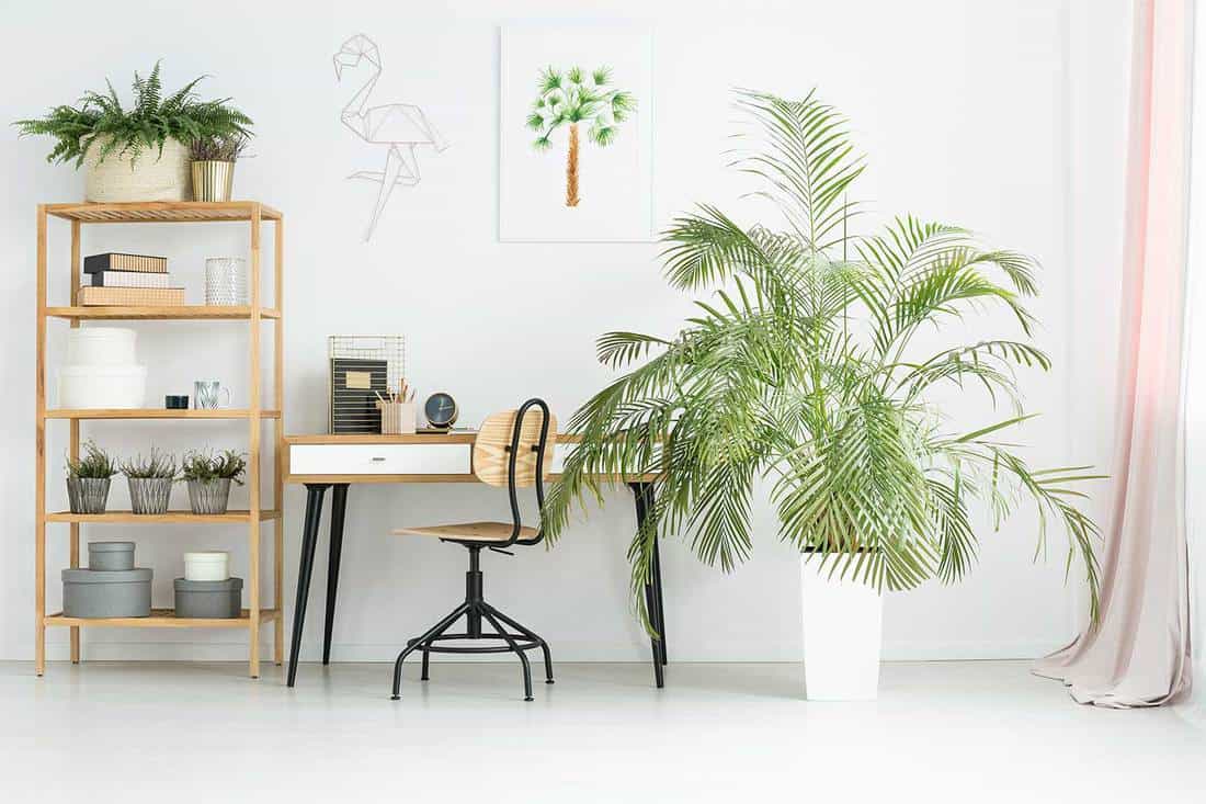 Home office with plants