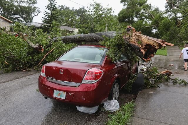 Image showing a red car that has been damaged by a falling tree