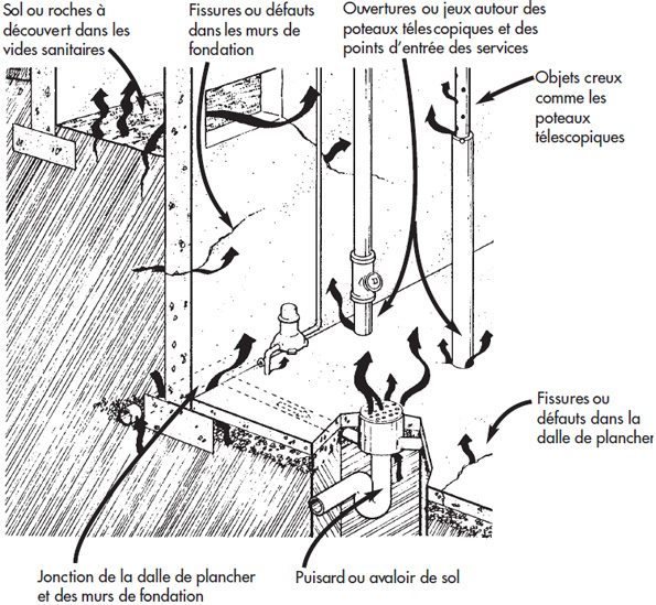 Graphisme de la fondation du sous-sol d'une maison démontrant les points d'infiltration du gaz radon : terre exposée dans le vide sanitaire, fissures dans la fondation et autour des points d'entrée des services publics, montants de soutien creux, fissures dans le sol, les drains du sol et les joints du sol/des murs.