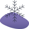 Winter tire icon