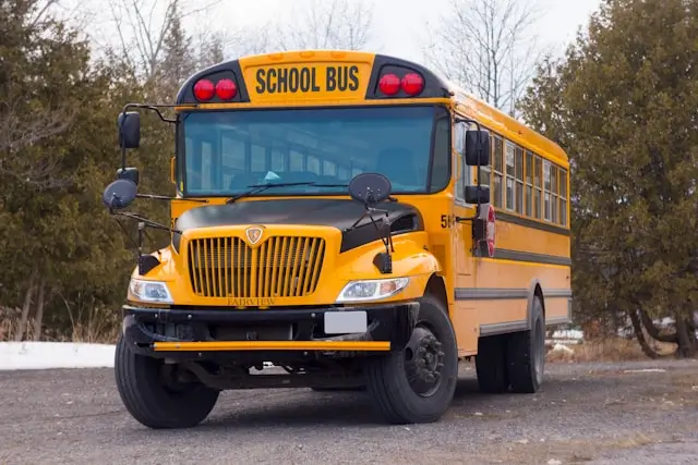 How to drive safely around school buses A yellow school bus parked in front of evergreen trees, viewed from the front